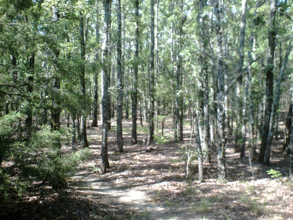 Lake Tawakoni State Park