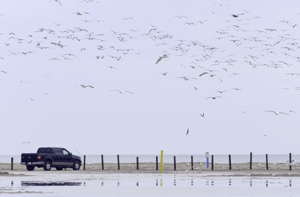 East Beach, Galveston