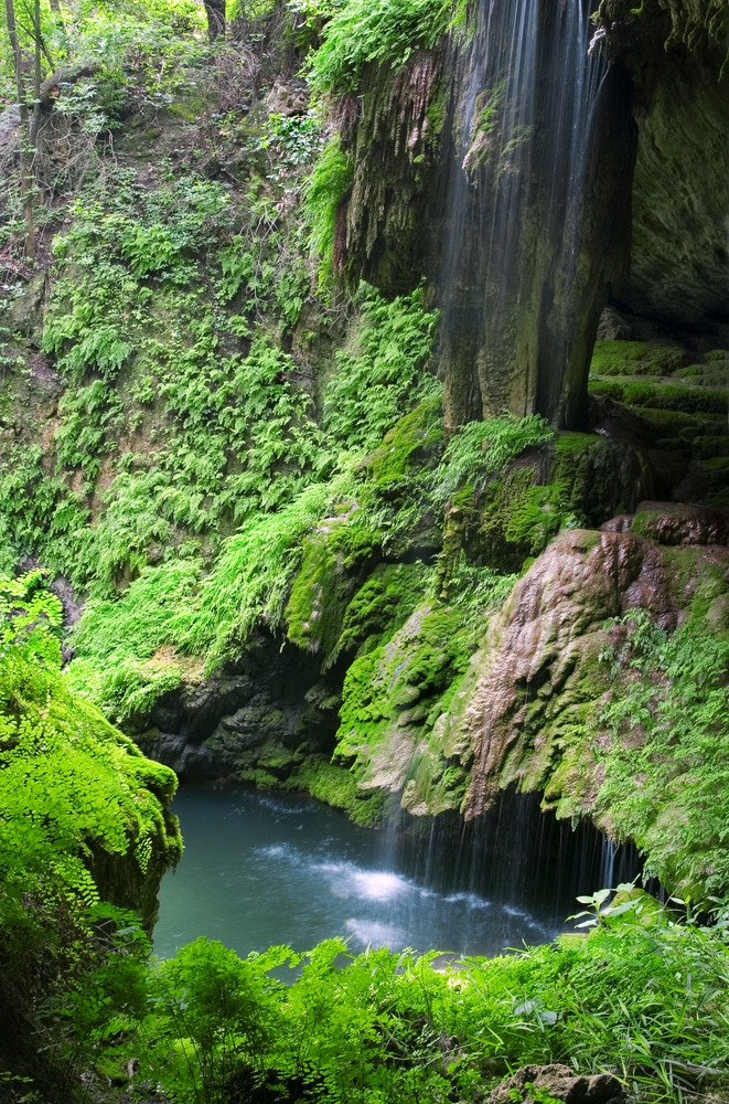 Westcave Preserve Falls