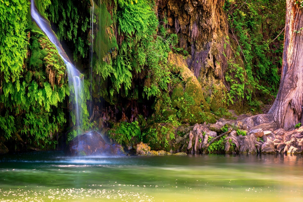 Krause Springs, Texas