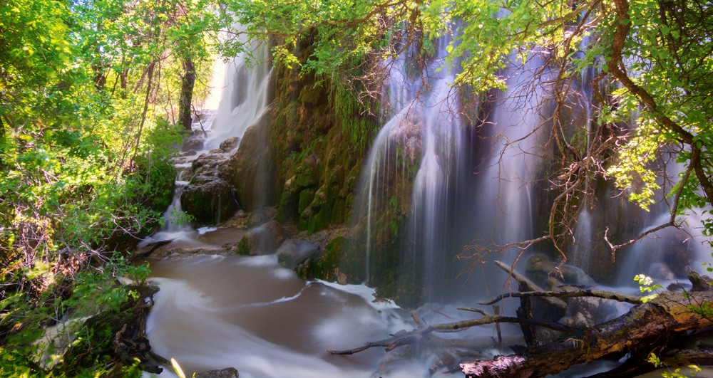 Gorman Falls